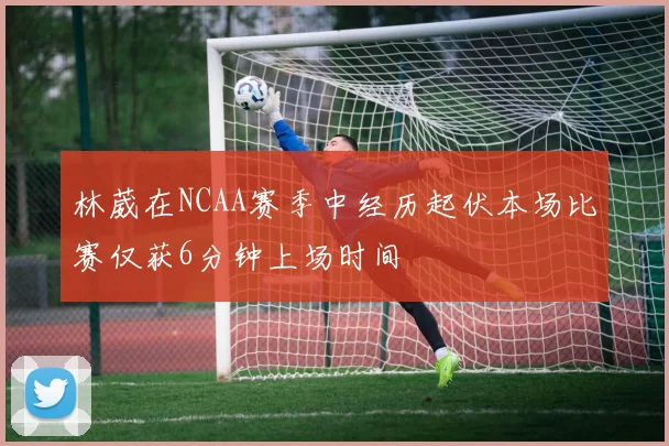 林葳在NCAA赛季中经历起伏本场比赛仅获6分钟上场时间