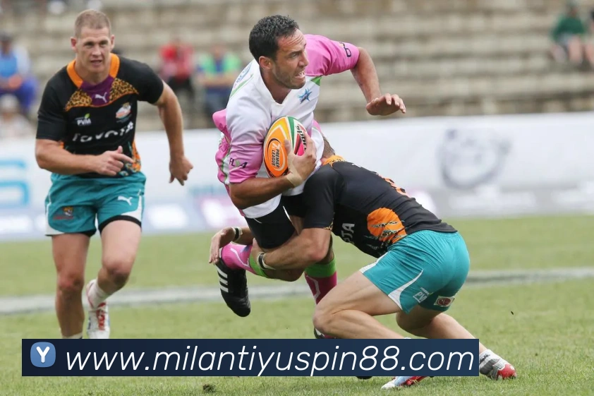 米兰体育APP 封面图